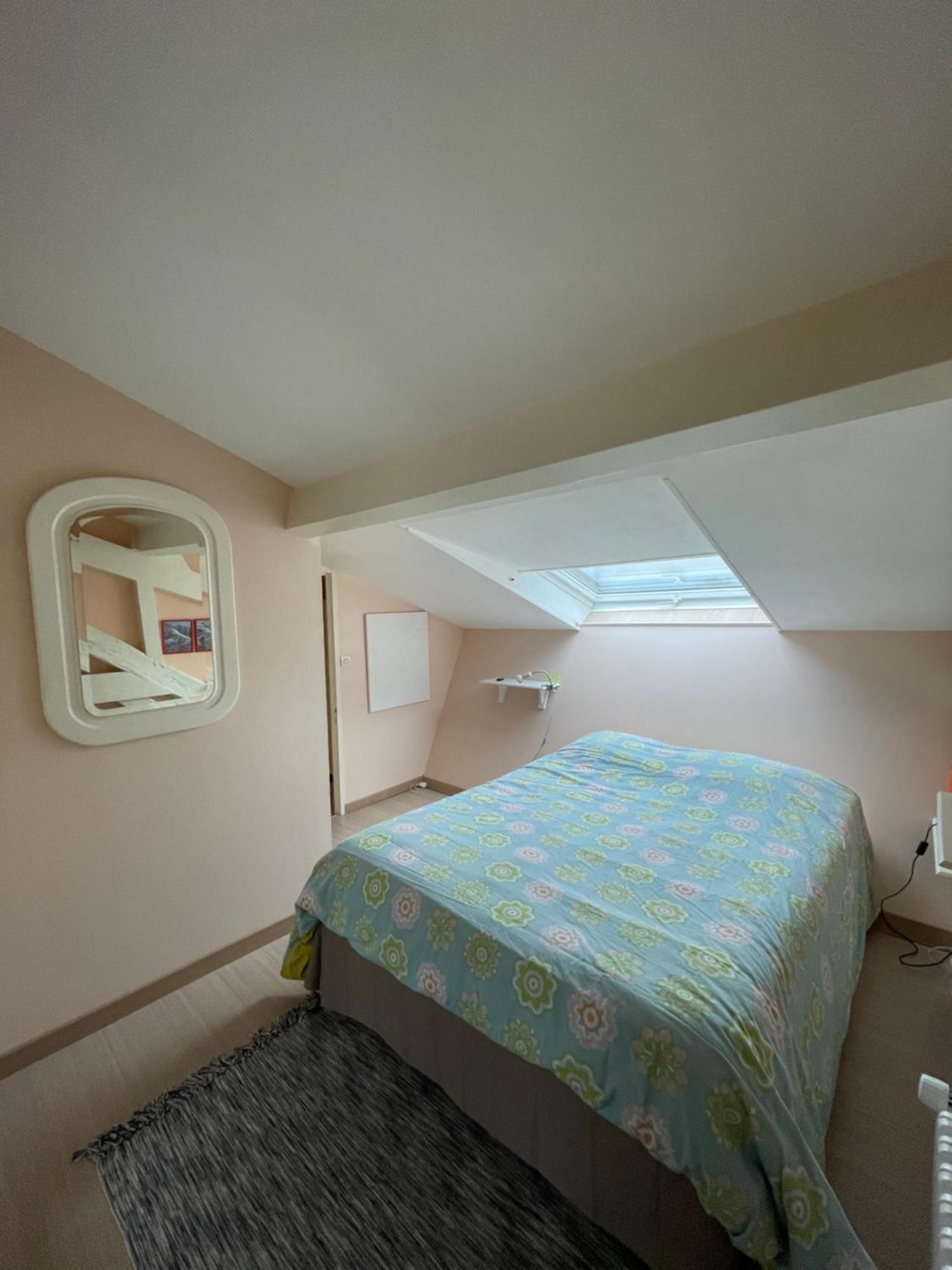 Rare 2 Bedroom With Private Beach On Lake Annecy ドゥサール 部屋 写真